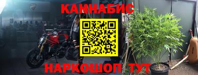 гидра Пушкино
