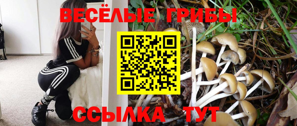 Галлюциногенные грибы ЛСД Саров